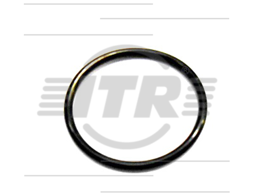 SEAL, O'RING