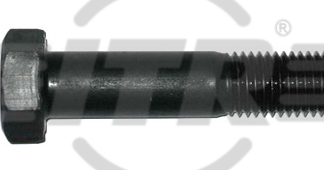 BOLT, 20X100MM